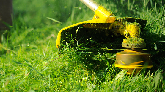 Gardening